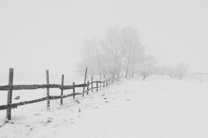 02-06-25 ICL PICS - Surviving the Writing Winter PEXELS winter